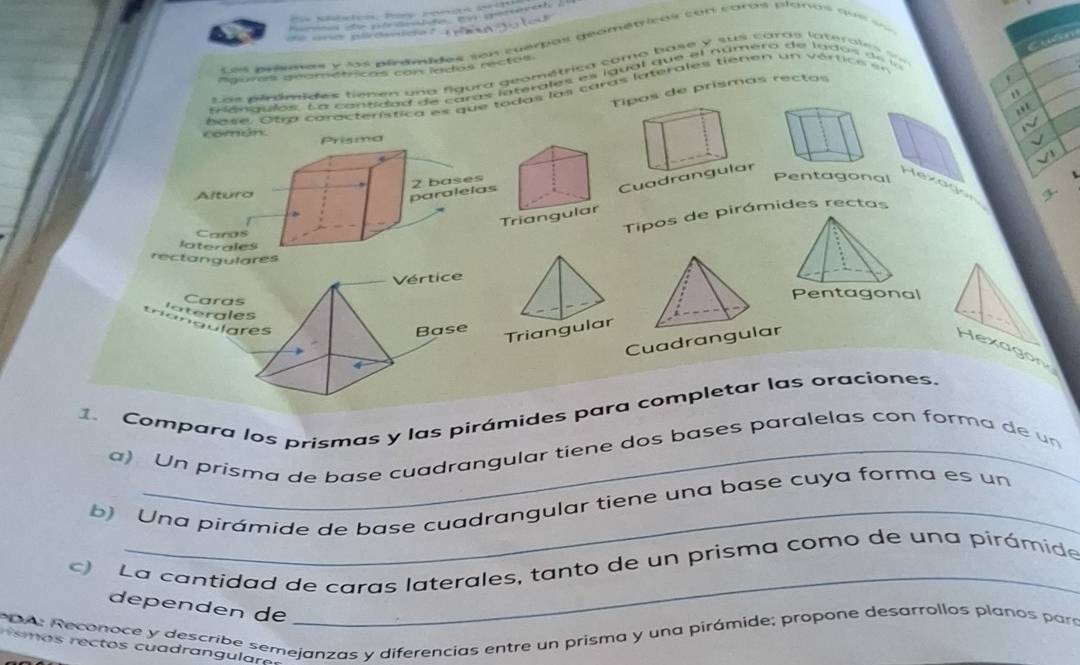 ce ce 
Cuón 
Les presmas y los piramides son cuerpos deométricas con coras planos qu e s 
nalums gramétícas con ledos rectos 
Las pirómides tienen una figura geométrica como base y sus caras laterales = 
s ángulos. La cantidad de caras l ateral es es igual que el número de lado d 
Tipos de prismas rectos 
" 
e se . O tra canacterística es que todas las caras laterales tienen un v értice = 
, 
IV 
Cuadr 
Pentagonal 
、 
Hexogsn 
3. 
Tipos de pirámides rectas 
Cara 
lateral 
trangula 

Cuadran 
Hexagon 
1. Compara los prismas y las pirámides para completar las oraciones. 
a) Un prisma de base cuadrangular tiene dos bases paralelas con forma de un 
b) Una pirámide de base cuadrangular tiene una base cuya forma es un 
La cantidad de caras laterales, tanto de un prisma como de una pirámide 
dependen de 
_ 
* 04: Reconoce y describe semejanzas y diferencias entre un prisma y una pirámide; propone desarrollos planos para 
a s rec tos cu adran gular