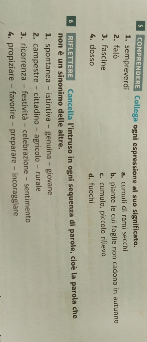 COMPRENDERE Collega ogni espressione al suo significato.
1. sempreverdi
a. cumuli di rami secchi
2. falò
b. piante le cui foglie non cadono in autunno
3. fascine
c. cumulo, piccolo rilievo
4. dosso d. fuochi
6 RIFLETTERE Cancella l’intruso in ogni sequenza di parole, cioè la parola che
non è un sinonimo delle altre.
1. spontanea - istintiva - genuina - giovane
2. campestre - cittadino - agricolo - rurale
3. ricorrenza - festività - celebrazione - sentimento
4. propiziare - favorire - preparare - incoraggiare