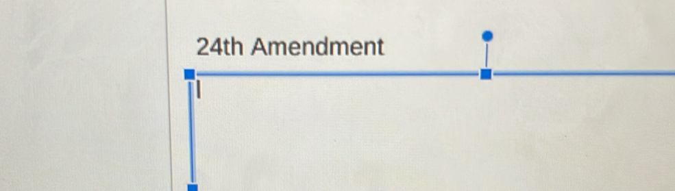 24th Amendment