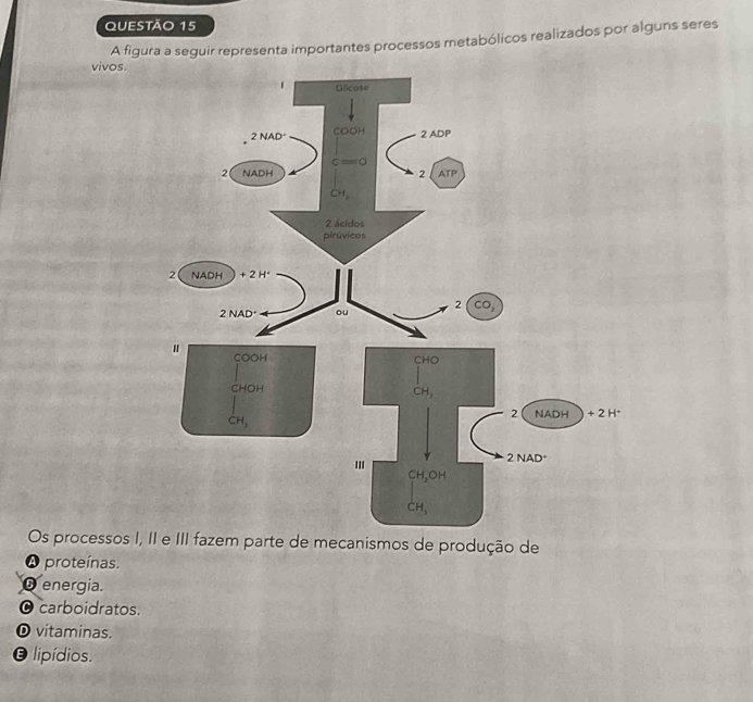 A figura a seguir representa importantes processos metabólicos realizados por alguns seres
vivos.
Os processos I, II e III fazem parte de mecanismos de produção de
A proteínas.
O energia.
O carboidratos.
O vitaminas.
O lipídios.