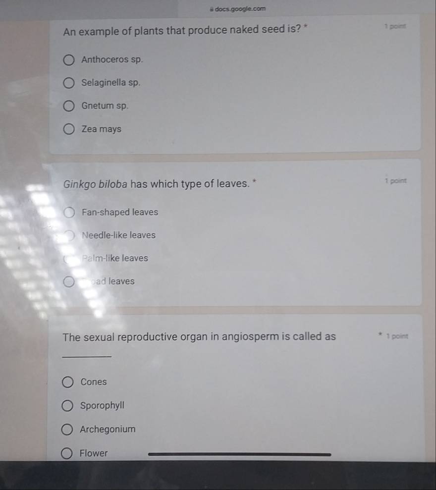 docs.google.com
An example of plants that produce naked seed is? * 1 point
Anthoceros sp.
Selaginella sp.
Gnetum sp.
Zea mays
Ginkgo biloba has which type of leaves. * 1 point
Fan-shaped leaves
Needle-like leaves
Palm-like leaves
oad leaves
The sexual reproductive organ in angiosperm is called as 1 point
_
Cones
Sporophyll
Archegonium
Flower