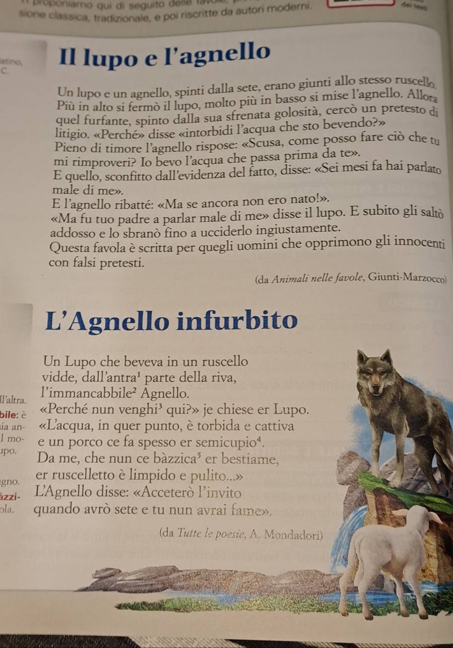 proponiamo qui di seguito delia favo
sione clássica, tradizionale, e poi riscritte da autori moderni.
C. Il lupo e l’agnello
atino,
Un lupo e un agnello, spinti dalla sete, erano giuntí allo stesso ruscello.
Più in alto si fermò il lupo, molto più in basso si mise l’agnello. Allora
quel furfante, spinto dalla sua sfrenata golosità, cercò un pretesto di
litigio. «Perché» disse «intorbidi l’acqua che sto bevendo?»
Pieno di timore l’agnello rispose: «Scusa, come posso fare ciò che tu
mi rimproveri? Io bevo l’acqua che passa prima da te».
E quello, sconfitto dall’evidenza del fatto, disse: «Sei mesi fa hai parlato
male di me».
E l’agnello ribatté: «Ma se ancora non ero nato!».
«Ma fu tuo padre a parlar male di me» disse il lupo. E subito gli saltò
addosso e lo sbranò fino a ucciderlo ingiustamente.
Questa favola è scritta per quegli uomini che opprimono gli innocenti
con falsi pretesti.
(da Animali nelle favole, Giunti-Marzocco)
L’Agnello infurbito
Un Lupo che beveva in un ruscello
vidde, dall’antra¹ parte della riva,
Il'altra. l’immancabbile² Agnello.
bile: è «Perché nun venghi’ qui?» je chiese er Lupo.
ia an- «Lacqua, in quer punto, è torbida e cattiva
l mo- e un porco ce fa spesso er semicupio⁴.
o . Da me, che nun ce bàzzica³ er bestiame,
gno. er ruscelletto è limpido e pulito...»
àzzi- L'Agnello disse: «Acceterò l’invito
ola. quando avrò sete e tu nun avrai fame».
(da Tutte le poesie, A. Mondadori)