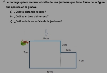 La hormiga quiere recorrer el orillo de una jardinera que tiene forma de la figura 
que aparece en la gráfica. 
a) ¿Cuánta distancia recorre? 
b) ¿Cuál es el área del terreno? 
c) ¿Cuál mide la superficie de la jardinera?
12cm