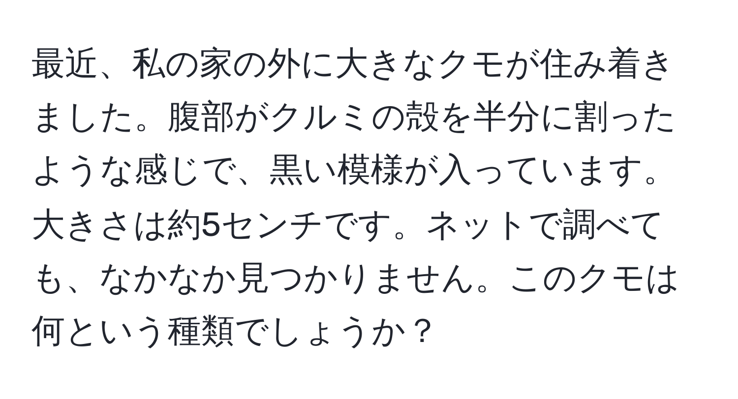 最近、私の家の外に大きなクモが住み着きました。腹部がクルミの殻を半分に割ったような感じで、黒い模様が入っています。大きさは約5センチです。ネットで調べても、なかなか見つかりません。このクモは何という種類でしょうか？