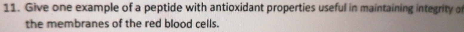 Give one example of a peptide with antioxidant properties useful in maintaining integrity of 
the membranes of the red blood cells.