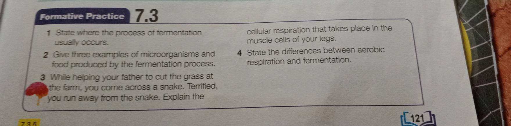 Formative Practice 7.3 
1 State where the process of fermentation cellular respiration that takes place in the 
usually occurs. muscle cells of your legs. 
2 Give three examples of microorganisms and 4 State the differences between aerobic 
food produced by the fermentation process. respiration and fermentation. 
3 While helping your father to cut the grass at 
the farm, you come across a snake. Terrified, 
you run away from the snake. Explain the 
735
121