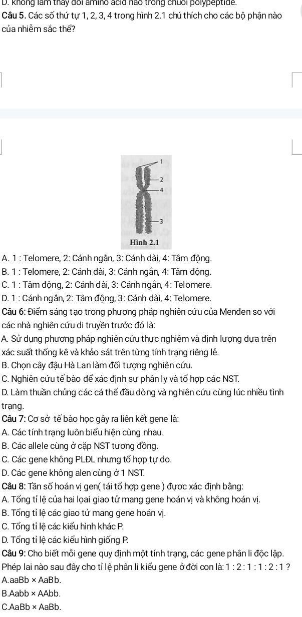 D. không lâm tháy đoi amino acid não trong chuối polypeptide.
Câu 5. Các số thứ tự 1, 2, 3, 4 trong hình 2.1 chú thích cho các bộ phận nào
của nhiễm sắc thể?
A. 1 : Telomere, 2: Cánh ngắn, 3: Cánh dài, 4: Tâm động.
B. 1 : Telomere, 2: Cánh dài, 3: Cánh ngắn, 4: Tâm động.
C. 1 : Tâm động, 2: Cánh dài, 3: Cánh ngắn, 4: Telomere.
D. 1 : Cánh ngắn, 2: Tâm động, 3: Cánh dài, 4: Telomere.
Câu 6: Điểm sáng tạo trong phương pháp nghiên cứu của Menđen so với
các nhà nghiên cứu di truyền trước đó là:
A. Sử dụng phương pháp nghiên cứu thực nghiệm và định lượng dựa trên
xác suất thống kê và khảo sát trên từng tính trạng riêng lẻ.
B. Chọn cây đậu Hà Lan làm đối tượng nghiên cứu.
C. Nghiên cứu tế bào để xác định sự phân ly và tổ hợp các NST.
D. Làm thuần chủng các cá thể đầu dòng và nghiên cứu cùng lúc nhiều tình
trạng.
Câu 7: Cơ sở tế bào học gây ra liên kết gene là:
A. Các tính trạng luôn biểu hiện cùng nhau.
B. Các allele cùng ở cặp NST tương đồng.
C. Các gene không PLĐL nhưng tổ hợp tự do.
D. Các gene không alen cùng ở 1 NST.
Câu 8: Tần số hoán vị gen( tái tổ hợp gene ) đựợc xác định bằng:
A. Tổng tỉ lệ của hai lọai giao tử mang gene hoán vị và không hoán vị.
B. Tổng tỉ lệ các giao tử mang gene hoán vị.
C. Tổng tỉ lệ các kiểu hình khác P.
D. Tổng tỉ lệ các kiểu hình giống P.
Câu 9: Cho biết mỗi gene quy định một tính trạng, các gene phân li độc lập.
Phép lai nào sau đây cho tỉ lệ phân li kiểu gene ở đời con là: 1:2:1:1:2:1 ?
A. aaBb* AaBb.
B Aabb* AAbb.
C AaBb* AaBb.