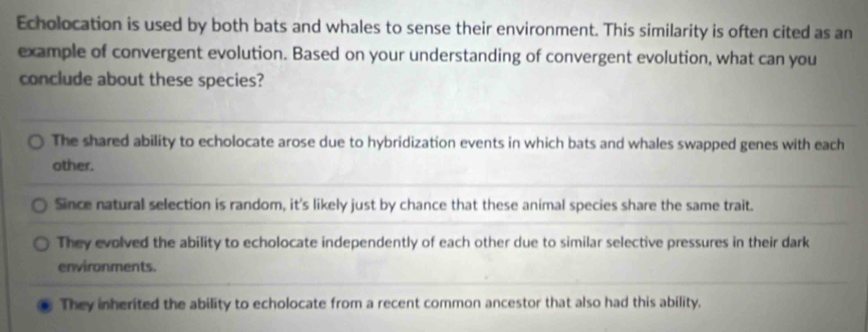 Echolocation is used by both bats and whales to sense their environment. This similarity is often cited as an
example of convergent evolution. Based on your understanding of convergent evolution, what can you
conclude about these species?
The shared ability to echolocate arose due to hybridization events in which bats and whales swapped genes with each
other.
Since natural selection is random, it's likely just by chance that these animal species share the same trait.
They evolved the ability to echolocate independently of each other due to similar selective pressures in their dark
environments.
They inherited the ability to echolocate from a recent common ancestor that also had this ability.