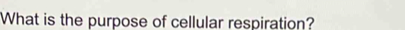 What is the purpose of cellular respiration?