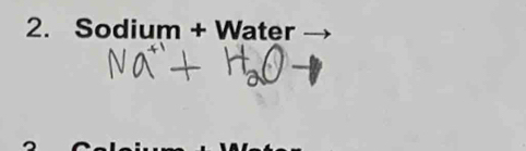 Sodium + Water