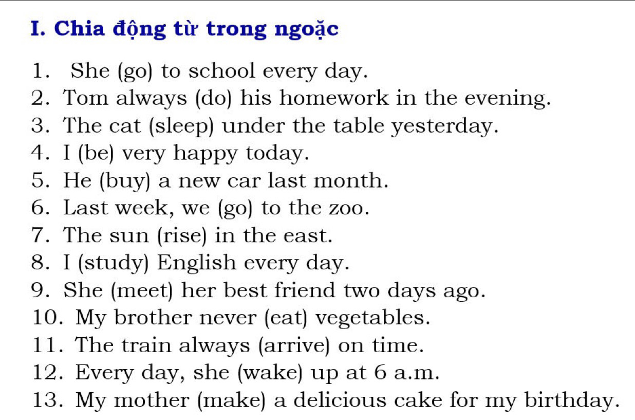 Chia động từ trong ngoặc 
1. She (go) to school every day. 
2. Tom always (do) his homework in the evening. 
3. The cat (sleep) under the table yesterday. 
4. I (be) very happy today. 
5. He (buy) a new car last month. 
6. Last week, we (go) to the zoo. 
7. The sun (rise) in the east. 
8. I (study) English every day. 
9. She (meet) her best friend two days ago. 
10. My brother never (eat) vegetables. 
11. The train always (arrive) on time. 
12. Every day, she (wake) up at 6 a.m. 
13. My mother (make) a delicious cake for my birthday.