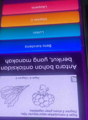 Rajah 8 menunjukkan sayur-sayuran hijau.
Diagram 8 shows green vegetables.
D
Rajah 8 / Diagram 8
Antara bahan antioksidan
berikut, yang manakah
Beta karotena
Lutein
Vitamin C
Likopena