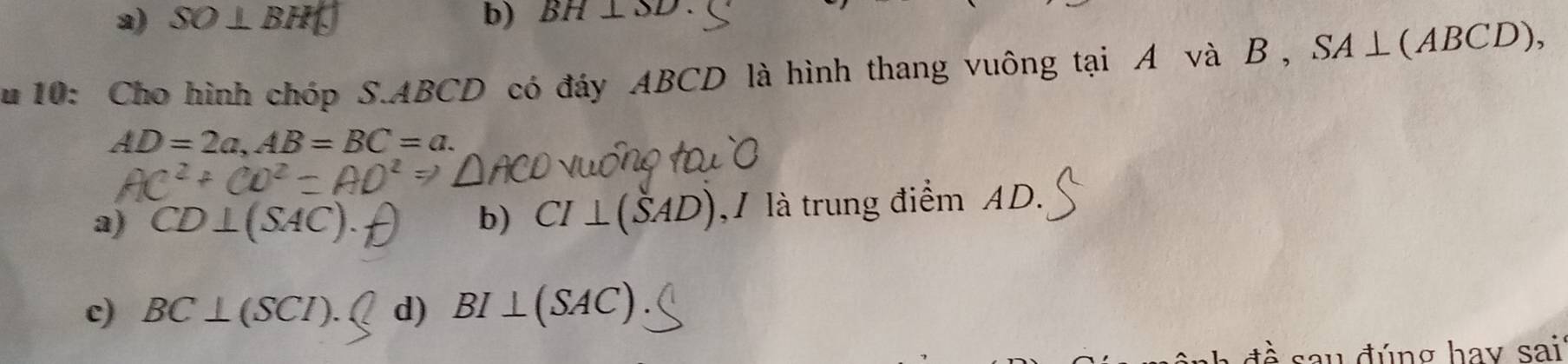 a) SO⊥ BH b) BH⊥ SD. 
u 10: Cho hình chóp S. ABCD có đáy ABCD là hình thang vuông tại A và B , SA⊥ (ABCD),
AD=2a, AB=BC=a.
a) CD⊥ (SAC). b) CI⊥ (SAD) , 1 là trung điểm AD.
c) BC⊥ (SCI). d) BI⊥ (SAC). 
ề sau đúng hay sai