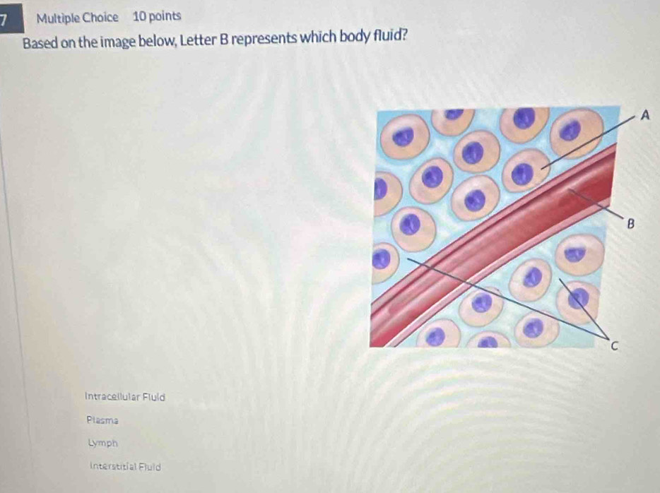 Based on the image below, Letter B represents which body fluid?
A
Intracellular Fluld
Plasma
Lymph
Interstitial Fluld