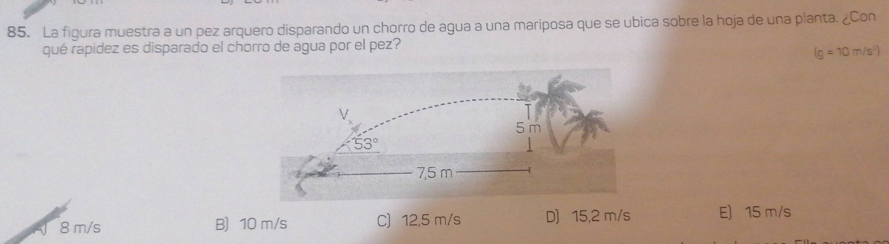 La figura muestra a un pez arquero disparando un chorro de agua a una mariposa que se ubica sobre la hoja de una planta. ¿Con
qué rapidez es disparado el chorro de agua por el pez?
(g=10m/s^2)
E) 15 m/s
8 m/s B) 10 m/s
C) 12,5 m/s D) 15,2 m/s