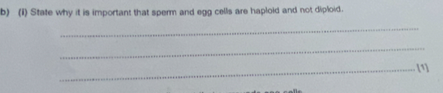 State why it is important that sperm and egg cells are haploid and not diploid. 
_ 
_ 
_[1]