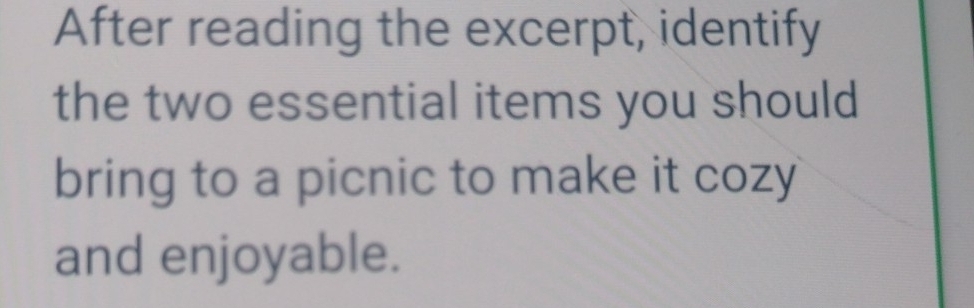 After reading the excerpt, identify 
the two essential items you should 
bring to a picnic to make it cozy 
and enjoyable.