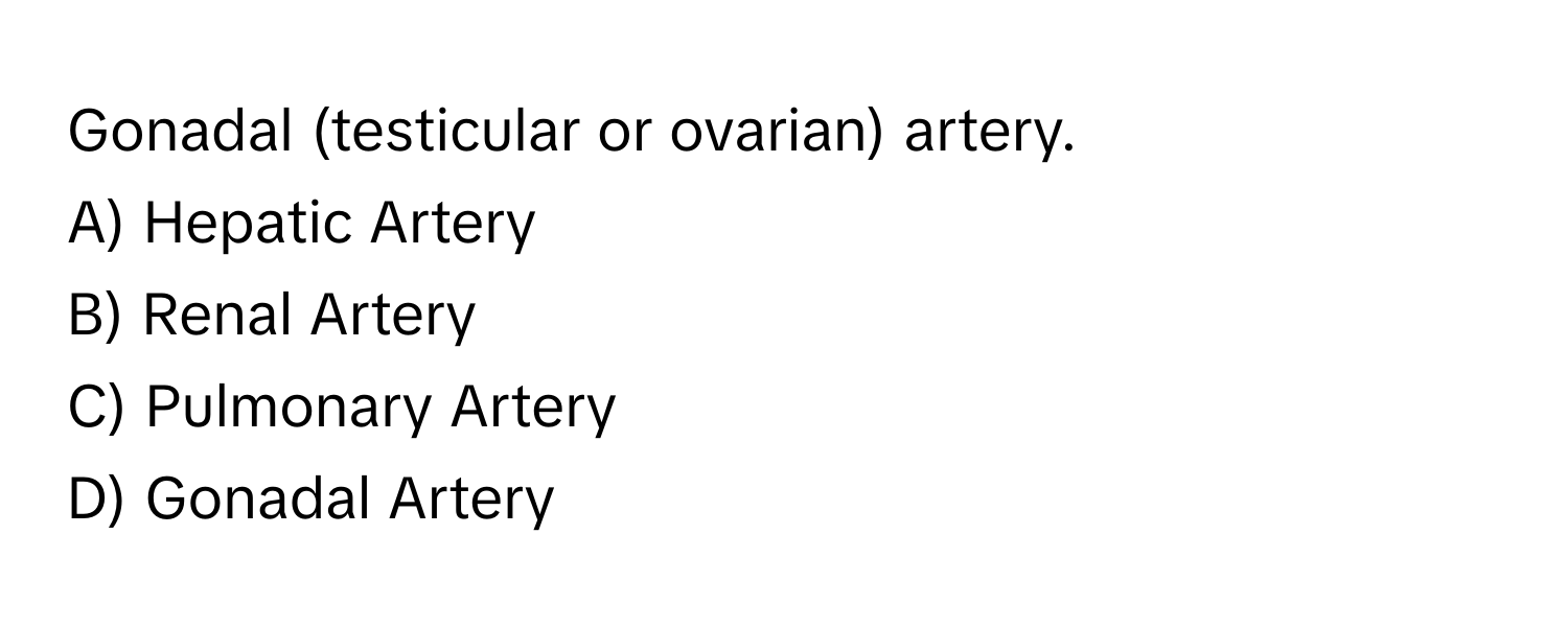 Gonadal (testicular or ovarian) artery.

A) Hepatic Artery
B) Renal Artery
C) Pulmonary Artery
D) Gonadal Artery