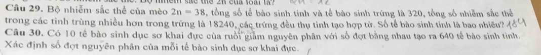 Bộ nhiễm sắc thể của mèo 2n=38 , tồng số tế bào sinh tinh và tế bào sinh trứng là 320, tổng số nhiễm sắc thể 
trong các tinh trùng nhiều hơn trong trứng là 18240, các trứng đều thụ tinh tạo hợp tử. Số tế bào sinh tinh là bao nhiều? 
Câu 30. Có 10 tế bào sinh dục sơ khai đực của ruồi giảm nguyên phân với số đợt bằng nhau tạo ra 640 tế bào sinh tinh. 
Xác định số đợt nguyên phân của mỗi tế bào sinh dục sơ khai đực.