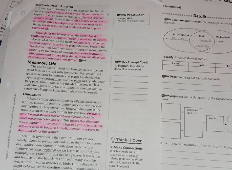 Mesozoic North America
a (continued)
Along North America's eastern coast and the Gulf of Details .=.
Mexico, sea level rose and fell over millions of years. As this
happened, much seawater evaporated, leaving large salt Review Vocabulary
E
deposits behind. Some of these salt deposits are sources of changed from liquid to gas evaporated
Compare and contrast the archucopterys with  
day birds.
salt today. Other salt deposits later became traps for oil.
(pa)
Today, salt traps in the Gulf of Mexico are an important
Mes
source of oil.
on,
Throughout the Mesozoic era, the North American
      
continent moved slowly and steadily westward. Its western
edge collided with several small landmasses carried on an
ancient oceanic plate. As this plate subducted beneath the
North American continent, the crust buckled inland, slowly
pushing up the Rocky Mountains. In the dry Southwest, Identify 3 types of Mesozoic re
windblown sand formed huge dunes. In the middle of the
continent, a warm inland sea formed. Key Concept Check
Mesozoic Life 4. Explain How did the
The species that survived the Permian mass extinction Bocky Mountains form?
_
event lived in a world with few species. Vast amounts of ribe the size of Mesozoic mammals.
space were open for animals and plants to inhabit. New_
types of cone-bearing trees, such as pines and cycads, began
to appear. Toward the end of the Mesozoic era, the first_
flowering plants evolved. The dinosaurs were the dominant__
vertebrates living on land. Hundreds of species existed. __Sequence the likely events of the Cretaceous
Dinosaurs
event.
Scientists today disagree about classifying dinosaurs as
reptiles. Dinosaurs share a common ancestor with present- dust that
day reptiles, such as crocodiles. However, dinosaurs differ produced
from present-day reptiles in their hip structure. Dinosaurs plants
were dominant Mesozoic land vertebrates that walked with legs
positioned directly below their hips. This means that dinosaurs
walked upright. In contrast, the legs of a crocodile stick out
sideways from its body. As a result, a crocodile appears to
drag itself along the ground.
、
Scientists hypothesize that some dinosaurs are more Think it Over arize the overall evolution of life during the Meso
closely related to present-day birds than they are to present- 5. Make Connections
day reptiles. Some dinosaur fossils show evidence of a Which animals on Earth
B example, was a small bird the size of a pigeon. It had wings related to dinosaurs of the__
feathery covering. Archaeopteryx (ar kee AHP tuh rihks), for today are most closely
and feathers. It also had claws and teeth. Many scientists Mesozoic era? (Circle the
suggest that it was an ancestor to birds. Future discoveries correct answer.)_
might help answer the question about why some dinosau