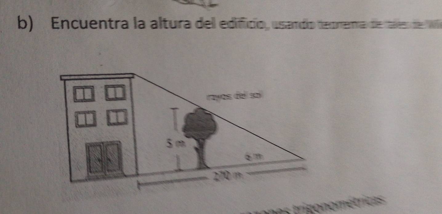 Encuentra la altura del edificio, usandío teprema de tales