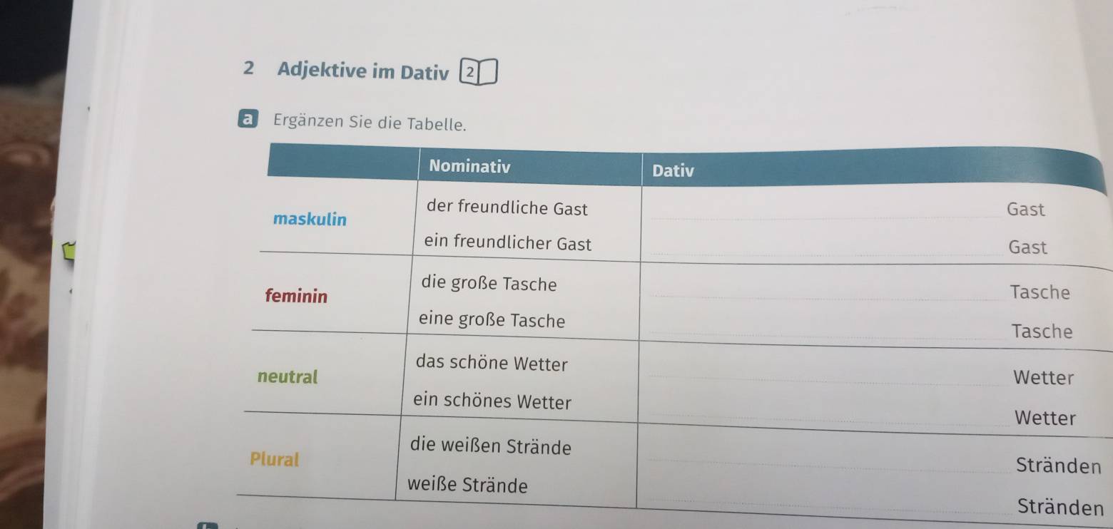 Adjektive im Dativ ② 
E Ergänzen Sie die Tabelle. 
n 
n