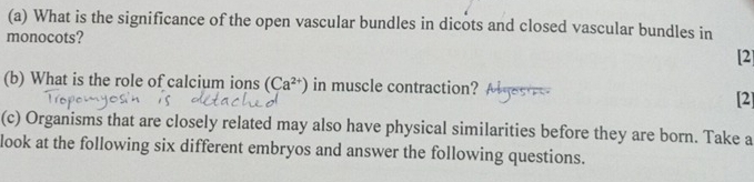 What is the significance of the open vascular bundles in dicots and closed vascular bundles in 
monocots? 
[2] 
(b) What is the role of calcium ions (Ca^(2+)) in muscle contraction? 
[2] 
(c) Organisms that are closely related may also have physical similarities before they are born. Take a 
look at the following six different embryos and answer the following questions.