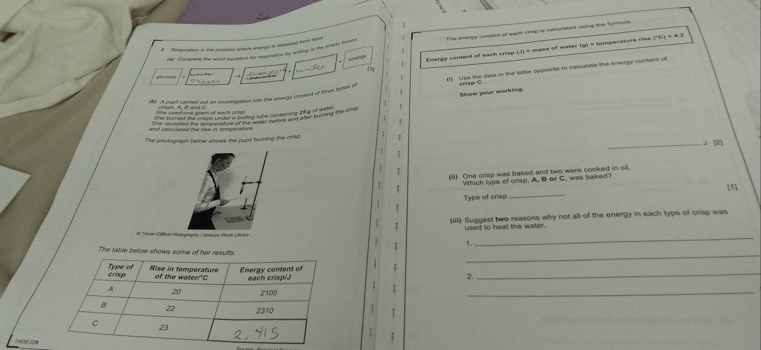 Complete the word equation for respiration by writing in the empty boxes The energy content of each crisp is calculated using the formula 
3 Respiration is the process where energy is released from food 
[3] Energy content of each crisp (J) = mass of water (g) × temperature rise
(^circ C)* 4.2
energy 
Show your working. 
(b) A pupil carried out an investigation into the energy content of three types of 
The photograph below shows the pupil burning the crisp 
; 
_J [2] 
(ii) One crisp was baked and two were cooked in oil. 
Which type of crisp, A, B or C, was baked 
[1] 
Type of crisp 
_ 
(iii) Suggest two reasons why not all of the energy in each type of crisp was 
used to heat the water. 
©Trevor C 
: 
1. 
_ 
_ 
The table below shows some of her results. 
_ 
; 
2. 
; 
_ 
:
11658.03R