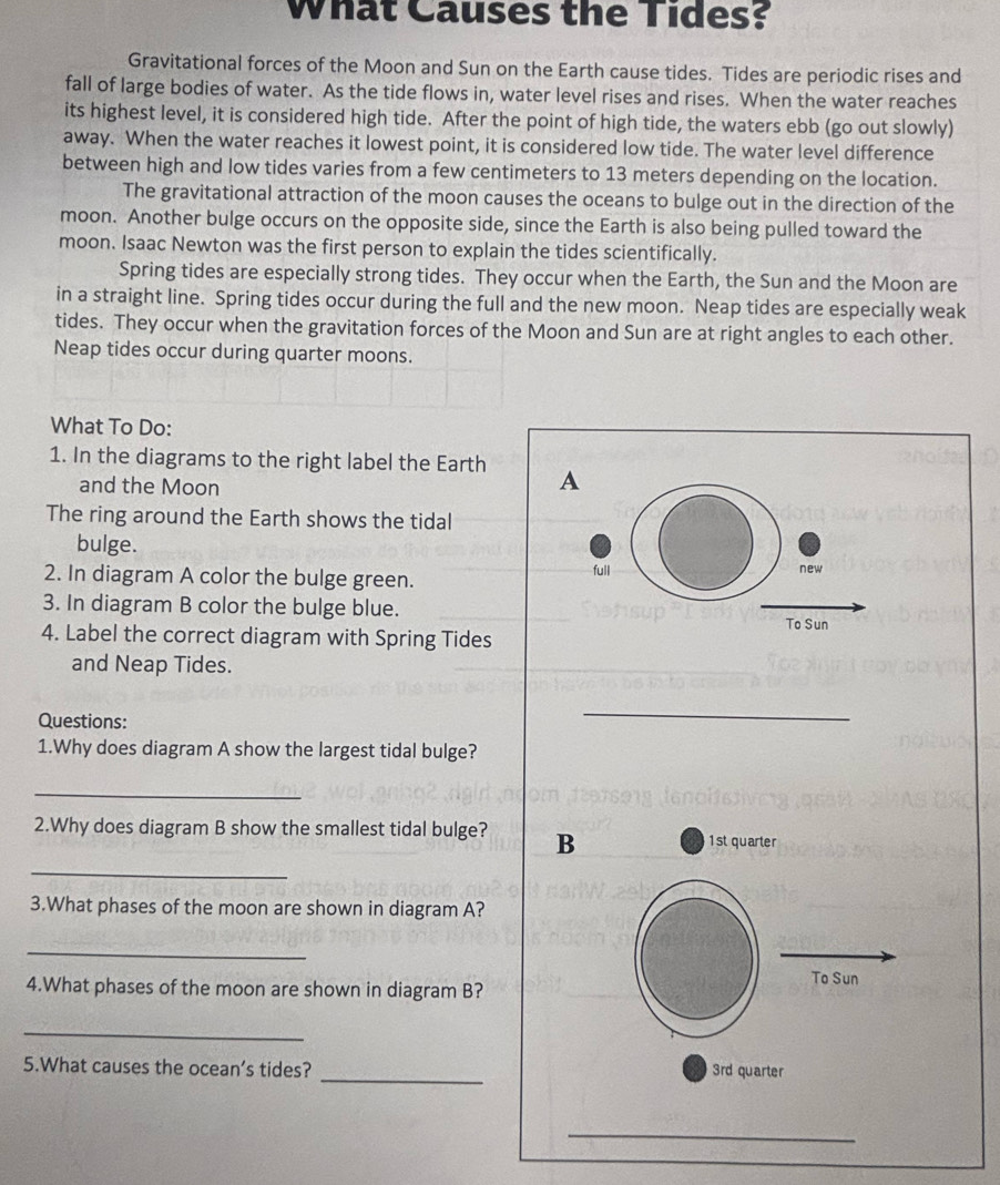 What Causes the Tides? 
Gravitational forces of the Moon and Sun on the Earth cause tides. Tides are periodic rises and 
fall of large bodies of water. As the tide flows in, water level rises and rises. When the water reaches 
its highest level, it is considered high tide. After the point of high tide, the waters ebb (go out slowly) 
away. When the water reaches it lowest point, it is considered low tide. The water level difference 
between high and low tides varies from a few centimeters to 13 meters depending on the location. 
The gravitational attraction of the moon causes the oceans to bulge out in the direction of the 
moon. Another bulge occurs on the opposite side, since the Earth is also being pulled toward the 
moon. Isaac Newton was the first person to explain the tides scientifically. 
Spring tides are especially strong tides. They occur when the Earth, the Sun and the Moon are 
in a straight line. Spring tides occur during the full and the new moon. Neap tides are especially weak 
tides. They occur when the gravitation forces of the Moon and Sun are at right angles to each other. 
Neap tides occur during quarter moons. 
What To Do: 
1. In the diagrams to the right label the Earth A 
and the Moon 
The ring around the Earth shows the tidal 
bulge. 
2. In diagram A color the bulge green. full new 
3. In diagram B color the bulge blue. 
4. Label the correct diagram with Spring Tides To Sun 
and Neap Tides. 
Questions: 
_ 
1.Why does diagram A show the largest tidal bulge? 
_ 
2.Why does diagram B show the smallest tidal bulge? B 1st quarter 
_ 
3.What phases of the moon are shown in diagram A? 
_ 
4.What phases of the moon are shown in diagram B? 
To Sun 
_ 
_ 
5.What causes the ocean’s tides? 3rd quarter 
_