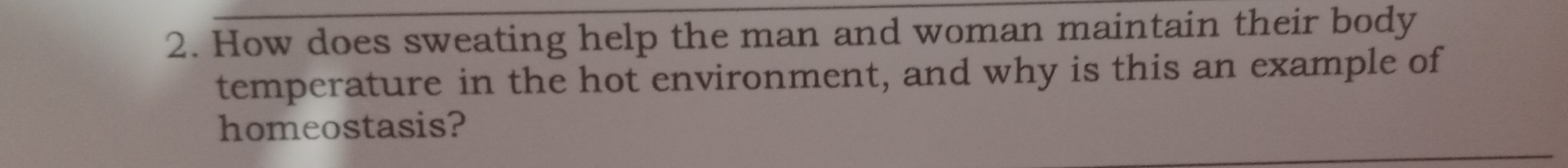 How does sweating help the man and woman maintain their body 
temperature in the hot environment, and why is this an example of 
homeostasis?