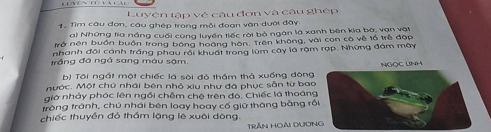 Luyện Từ và câu 
Luyện tập về câu đơn và câu ghép 
1. Tìm câu đơn, câu ghép trong mỗi đoạn văn dưới đây: 
a) Những tia nắng cuối cùng luyến tiếc rời bỏ ngàn lá xanh bên kia bò, vạn vật 
trở nên buồn buồn trong bóng hoàng hôn. Trên không, vài con cò về tổ trẻ đặp 
nhanh đôi cánh trắng phau rồi khuất trong lùm cây lá rậm rạp. Những đám mây 
trắng đā ngả sang màu sậm. 
NGOC LINH 
b) Tôi ngắt một chiếc lá sòi đỏ thắm thả xuống dòng 
nước. Một chú nhái bén nhỏ xíu như đã phục sẵn từ bao 
giờ nhảy phóc lên ngồi chễm chệ trên đó. Chiếc lá thoáng 
tròng trành, chú nhái bén loay hoay cố giữ thăng bằng rồi 
chiếc thuyền đỏ thắm lặng lẽ xuôi dòng. 
TRÂN HOÃI DUONG