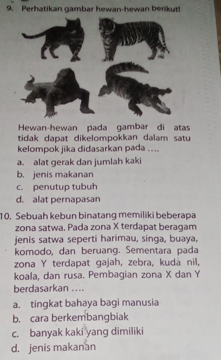 Perhatikan gambar hewan-hewan berikut!
Hewan-hewan pada gambar di atas
tidak dapat dikelompokkan dalam satu
kelompok jika didasarkan pada ....
a. alat gerak dan jumlah kaki
b. jenis makanan
c. penutup tubuh
d. alat pernapasan
10. Sebuah kebun binatang memiliki beberapa
zona satwa. Pada zona X terdapat beragam
jenis satwa seperti harimau, singa, buaya,
komodo, dan beruang. Sementara pada
zona Y terdapat gajah, zebra, kudá nil,
koala, dan rusa. Pembagian zona X dan Y
berdasarkan ....
a. tingkat bahaya bagi manusia
b. cara berkembangbiak
c. banyak kaki yang dimiliki
d. jenis makanan