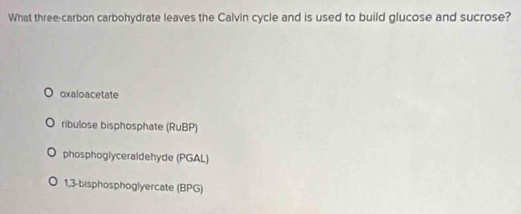 What three-carbon carbohydrate leaves the Calvin cycle and is used to build glucose and sucrose?
oxaloacetate
ribulose bisphosphate (RuBP)
phosphoglyceraldehyde (PGAL)
1,3-bisphosphoglyercate (BPG)