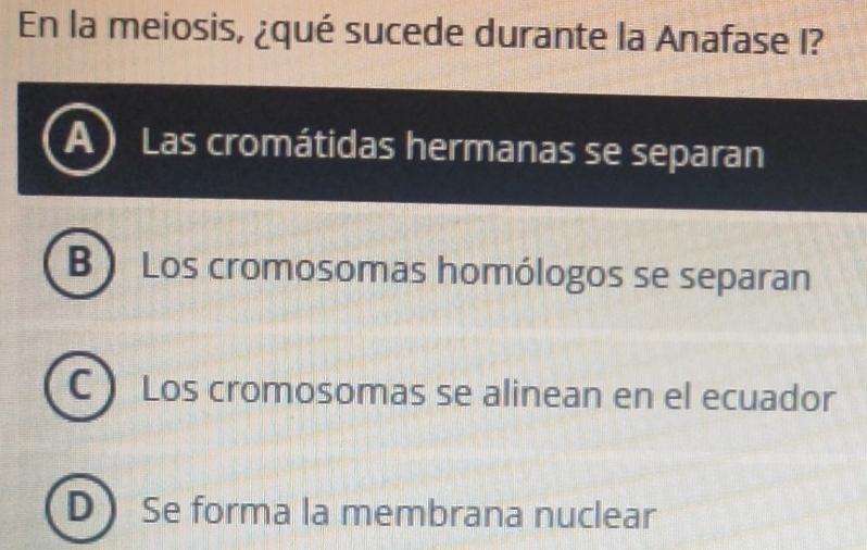 En la meiosis, ¿qué sucede durante la Anafase I?
A ) Las cromátidas hermanas se separan
B ) Los cromosomas homólogos se separan
C  Los cromosomas se alinean en el ecuador
D Se forma la membrana nuclear