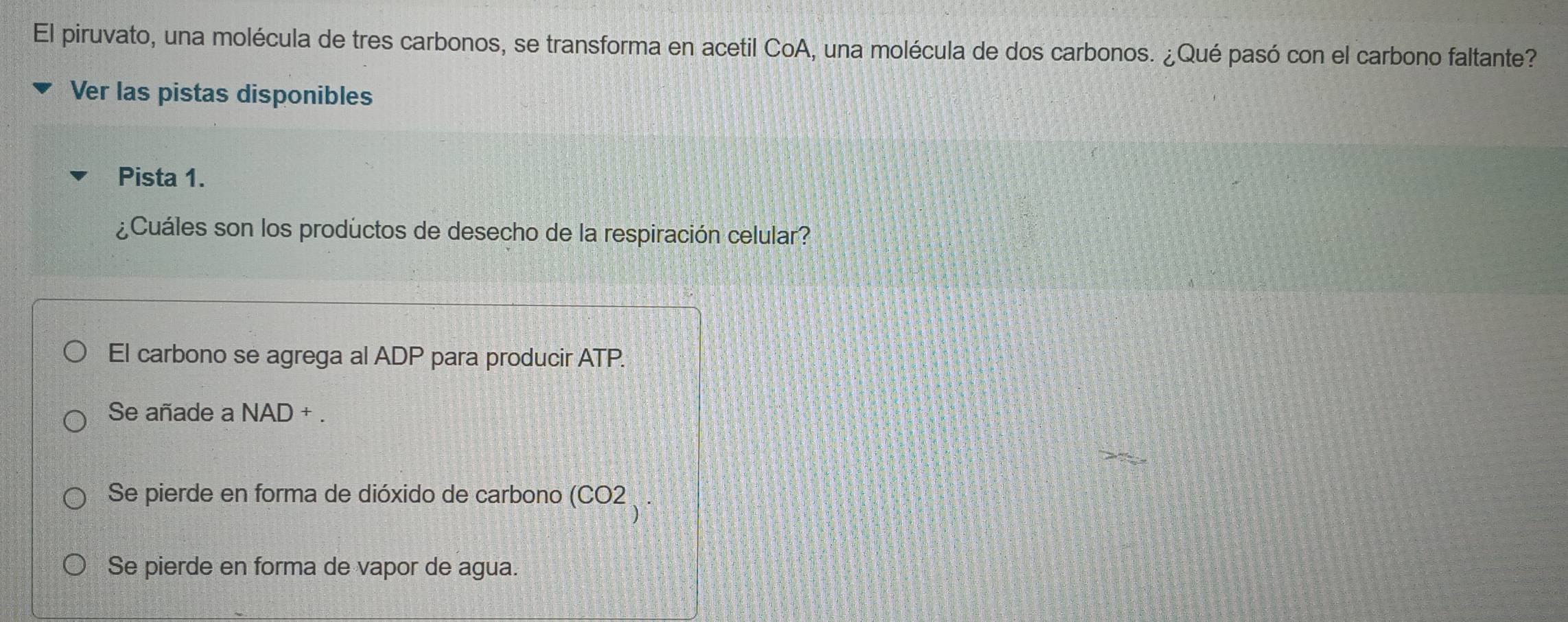 El piruvato, una molécula de tres carbonos, se transforma en acetil CoA, una molécula de dos carbonos. ¿Qué pasó con el carbono faltante?
Ver las pistas disponibles
Pista 1.
¿Cuáles son los productos de desecho de la respiración celular?
El carbono se agrega al ADP para producir ATP.
Se añade a NAD + .
Se pierde en forma de dióxido de carbono (CO2
Se pierde en forma de vapor de agua.