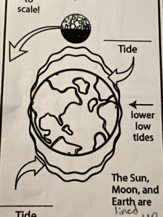 scale! 
r 
s 
d 
Tide