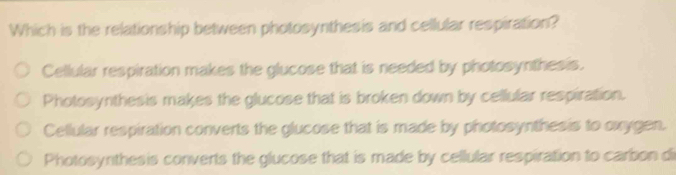 Which is the relationship between photosynthesis and cellular respiration?
Cellular respiration makes the glucose that is needed by photosynthesis.
Photosynthesis makes the glucose that is broken down by cellular respiration.
Cellular respiration converts the glucose that is made by photosynthesis to oxygen.
Photosynthesis converts the glucose that is made by cellular respiration to carbon di