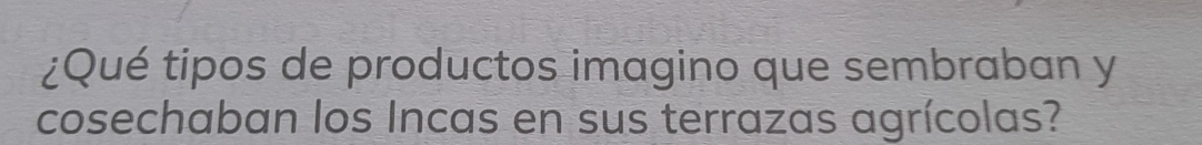 ¿Qué tipos de productos imagino que sembraban y 
cosechaban los Incas en sus terrazas agrícolas?