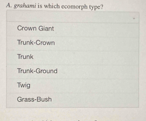 grahami is which ecomorph type?
Crown Giant
Trunk-Crown
Trunk
Trunk-Ground
Twig
Grass-Bush