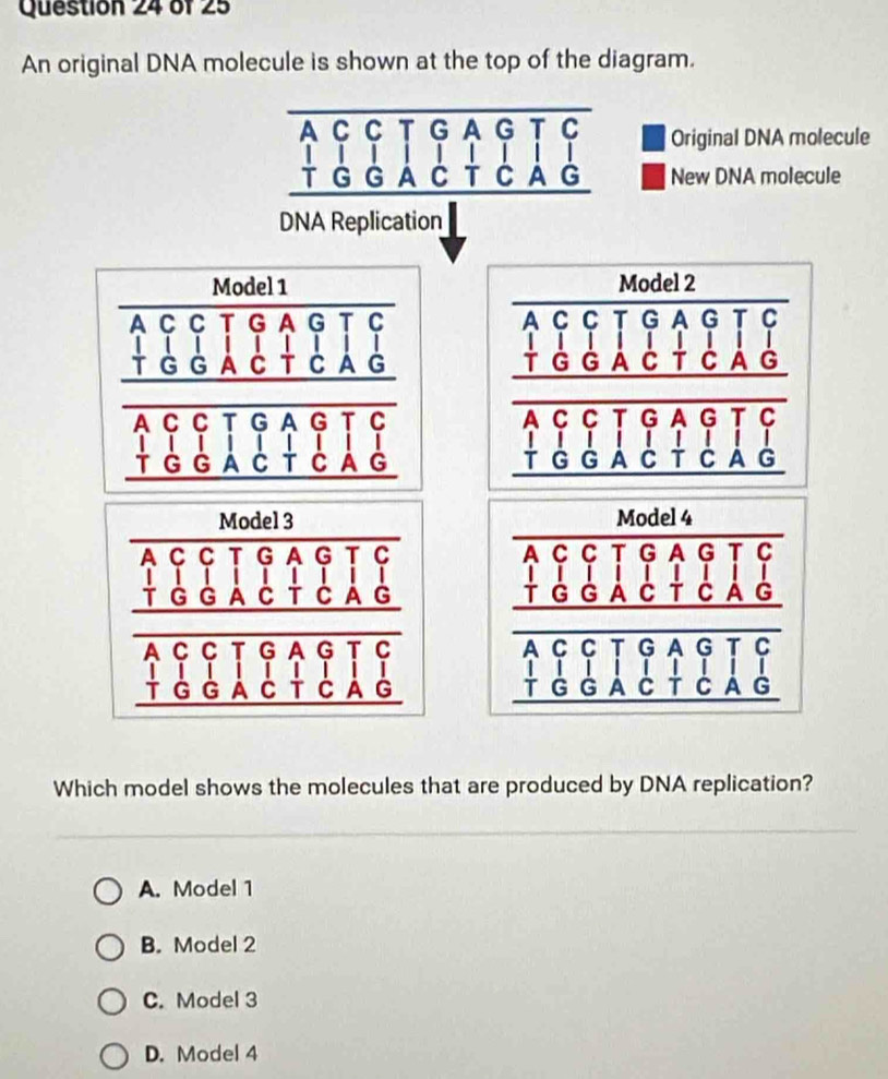 An original DNA molecule is shown at the top of the diagram.
Original DNA molecule
beginarrayr ACCTGAGTC TGGACTCAG hline endarray New DNA molecule
DNA Replication
beginarrayr △ ASinotalthenclosecircle199downarrow beginarrayr 4 beginarrayr o beginarrayr 4662 4766810 +664646164k6144k618116 hline endarray
Model 3
c
beginarrayr Abeginarrayl Alqwedge q llfobwedge cf hline endarray beginarrayr ppwedge q +qendbmatrix beginarrayr q kendarray beginarrayr p qendarray beginarrayr p qendarray beginarrayr p qendarray beginarrayr p qendarray beginarrayr p qendarray beginarrayr p pendarray beginarrayr p qendarray beginarrayr p pendarray endbmatrix beginarrayr overline 9984 hline endarray beginarrayr 999199918819 18912+218 hline endarray 
□ 
Which model shows the molecules that are produced by DNA replication?
A. Model 1
B. Model 2
C. Model 3
D. Model 4