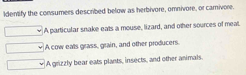 ldentify the consumers described below as herbivore, omnivore, or carnivore.
A particular snake eats a mouse, lizard, and other sources of meat.
A cow eats grass, grain, and other producers.
A grizzly bear eats plants, insects, and other animals.