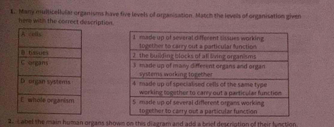 Many multicellular organisms have five levels of organisation. Match the levels of organisation given 
here with the correct description. 





2. Label the main human organs shown on this diagram and add a brief description of their function.