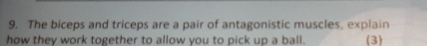 The biceps and triceps are a pair of antagonistic muscles, explain 
how they work together to allow you to pick up a ball. (3)