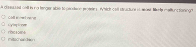 A diseased cell is no longer able to produce proteins. Which cell structure is most likelly malfunctioning?
cell membrane
cytoplasm
ribosome
mitochondrion