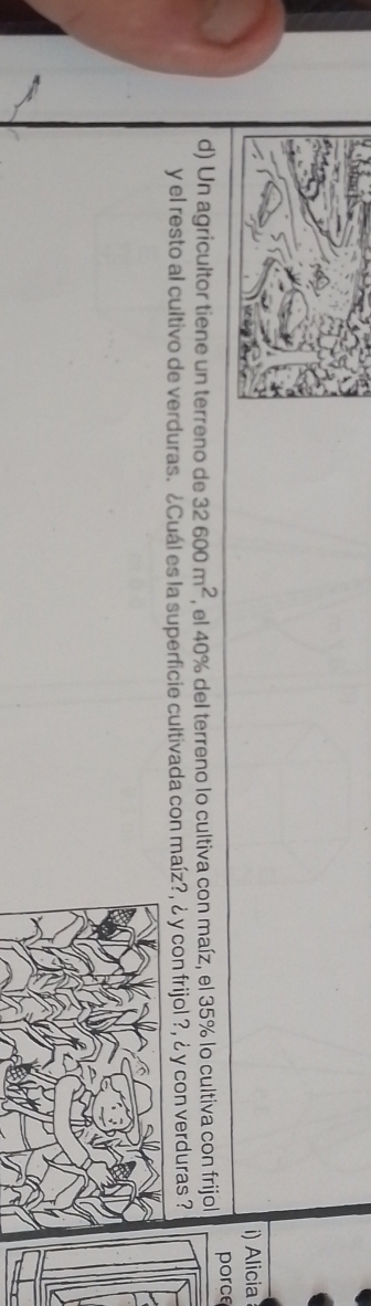 Alicia 
d) Un agricultor tiene un terreno de 32600m^2 , el 40% del terreno lo cultiva con maíz, el 35% lo cultiva con frijol porce 
y el resto al cultivo de verduras. ¿Cuál es la superficie cultivada con maíz?, ¿ y con frijol ?, ¿ y con verduras ?