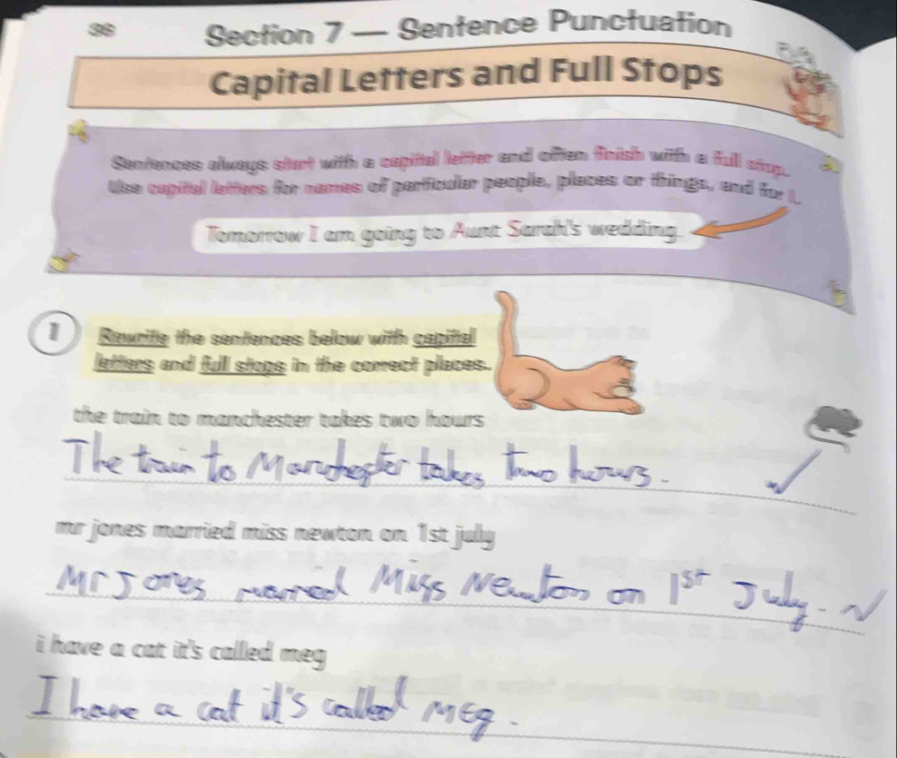 Solved: — Sentence Punctuation Capital Letters and Full Stops Sentences  always start with a capi [Others]