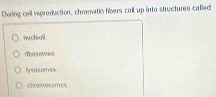 During cell reproduction, chromatin fibers coil up into structures called
nucleoli.
ribosomes
lysosomes
chromosomes