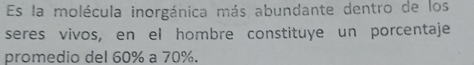 Es la molécula inorgánica más abundante dentro de los 
seres vivos, en el hombre constituye un porcentaje 
promedio del 60% a 70%.