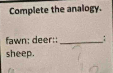 Complete the analogy. 
fawn: deer:: _: 
sheep.