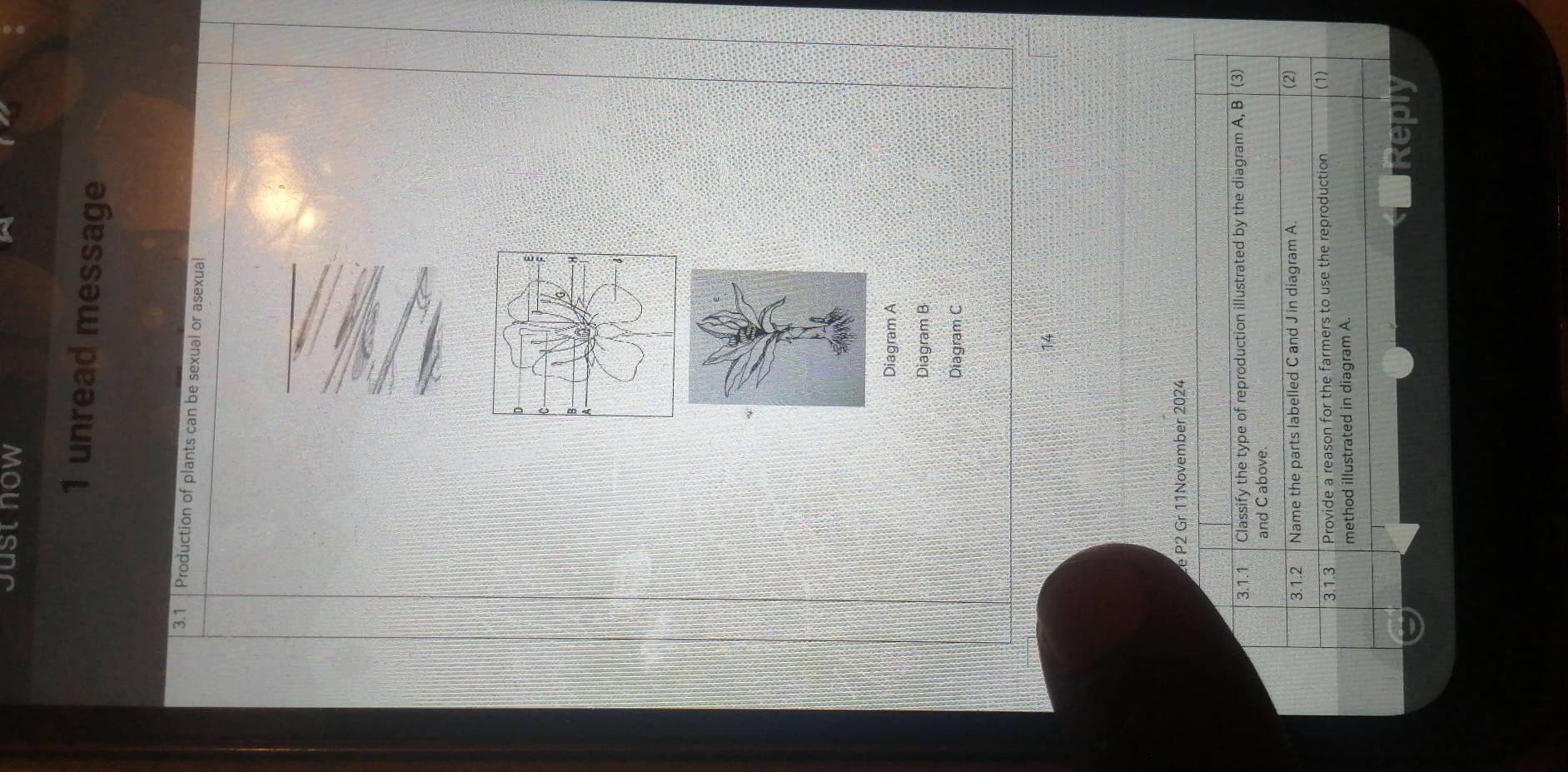 Just how
1 unread message
3.1 | Production of plants can be sexual or asexual
Diagram A
Diagram B
Diagram C
14